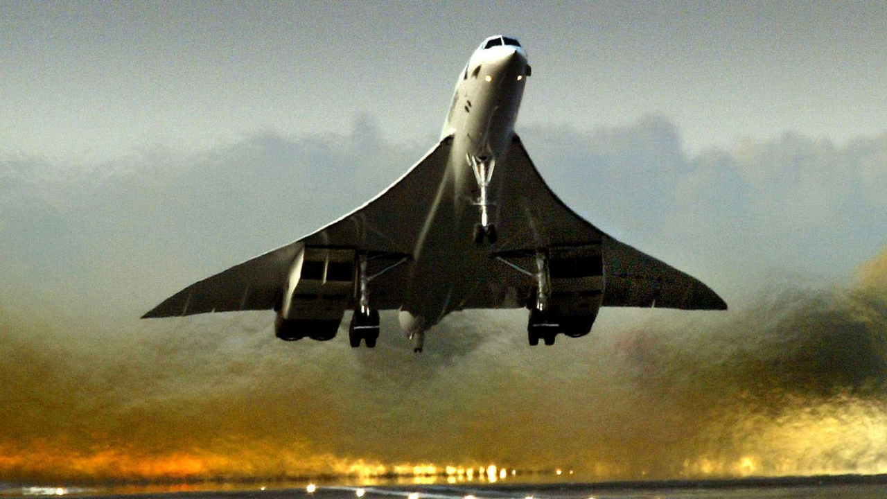 Avies